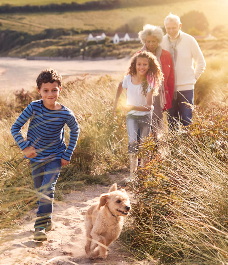 Dog Friendly Destinations